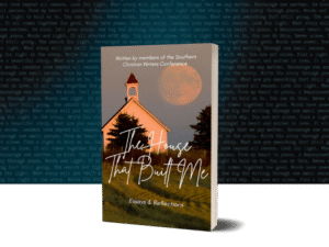 BookBrushImage-2025-8-13-22-2444 blur