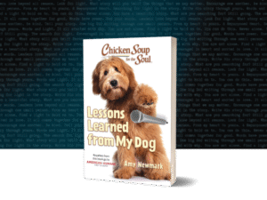 BookBrushImage-2025-8-13-22-2836