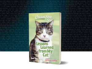 BookBrushImage-2025-8-13-22-328