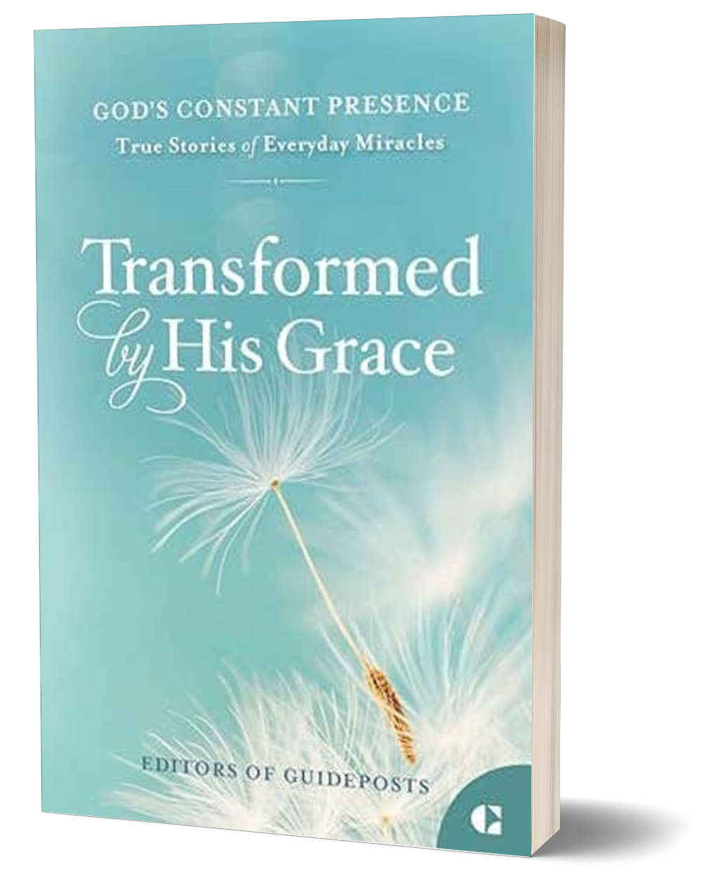 Chicken Soup for the Soul