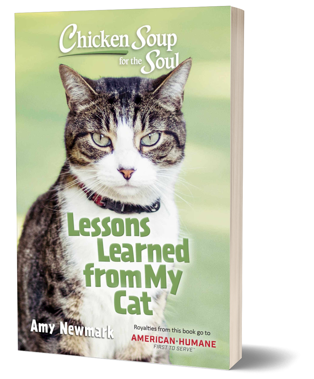 Chicken Soup for the Soul