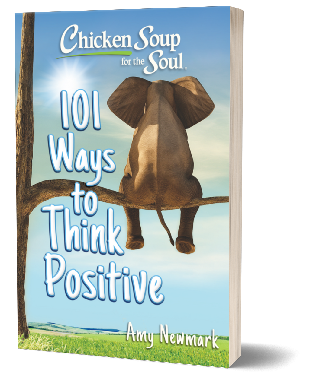 Chicken Soup for the Soul