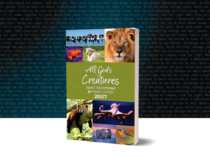 via Bookbrush
