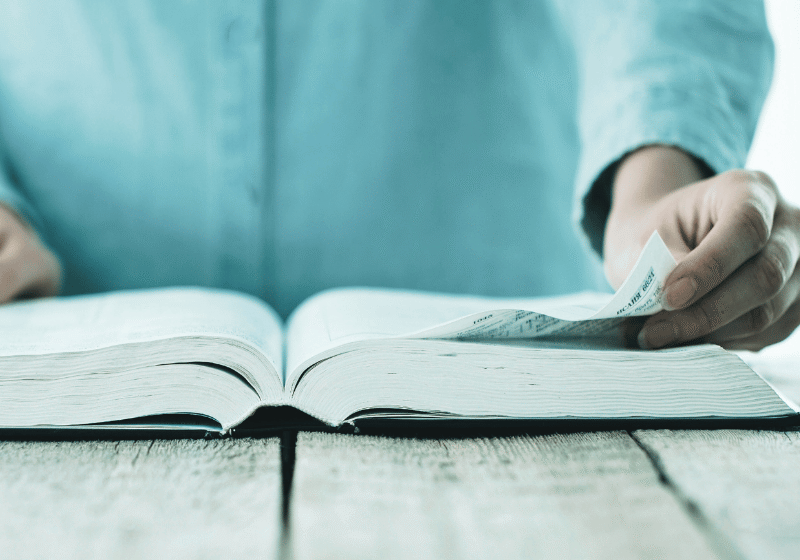 4maksym via Canva Pro II